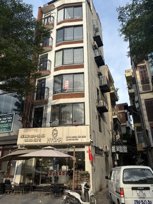 10tỷ mặt phố nguyễn đình chiểu, 15m2, 5tầng, view công viên, kinh doanh đỉnh cao, dòng tiền ổn định