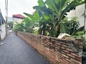 bán đất việt hưng - chia lô - mặt tiền hoa hậu - giá 130tr/m2 - gần bigc long biên