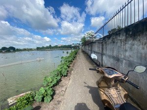 bán rẻ lúa non mới có giá này. hẻm ôtô tổ 4.5 bẩy tấn, xã an phú tây, bình chánh 100m có 80m thổ cư