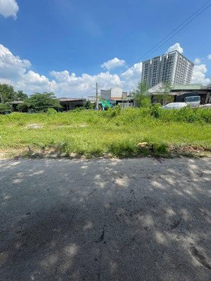 bán lô đất đường nhựa phường phú hoà kế bên báo bình dương