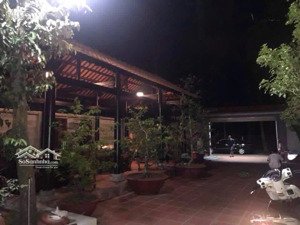 cho thuê nhà vườn, có chồi gỗ tại phú mỹ