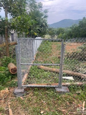 602m2 thanh thuỷ bám đồng gần hồ phượng mao chỉ 1, x tỉ