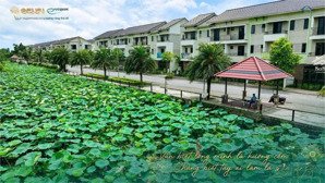 shophouse cơ hội đầu tư & an cư,kết nối cao tốc sân bay gia bình ,gần ga mêtro ,cách long biên 6km