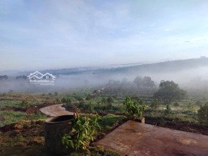 sản phẩm nhà vườn siêu đẹp siêu hiếm có nguồn thu giá tốt cho khách trong thời điểm hiện tại