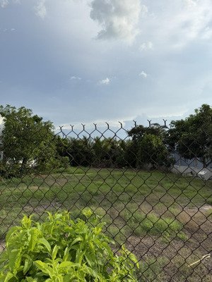 cho thuê kho, nhà xưởng 1000m2, 15 triệu vnd tại đ. huyện 31, xã tân hương, châu thành, tiền giang