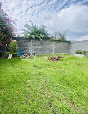 bán đất 582m2- mt kênh tham lương -sát nguyễn văn quá -trường chinh -p.đht-q12-19,9tỷ