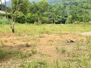 đất yên bài view núi, view cánh đồng