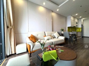 cho thuê căn hộ 2 ngủ cao cấp view đẹp võ nguyên giáp