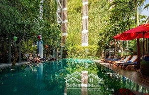 bán siêu phẩm khách sạn 5 * ngay phố cổ hội an. 50 phòng mt đào duy từ. doanh thu 2 tỷ/ tháng