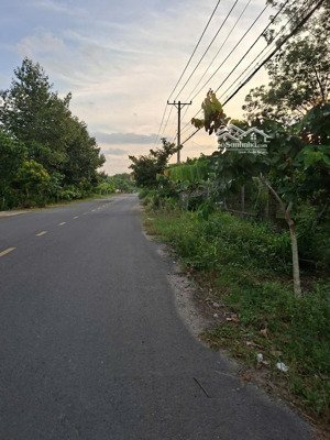 bán rất gấp lô đất liền kề tại mặt tiền đường phú thuận- xã an nhơn tây, tp hồ chí minh