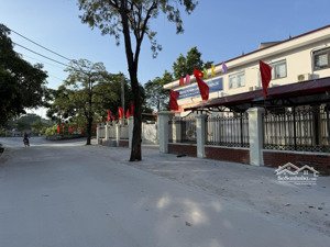 siêu phẩm 115m lô đất vuông đẹp - trục kinh doanh sầm uất phố bầu, kim chung - đường 2 ô tô tránh