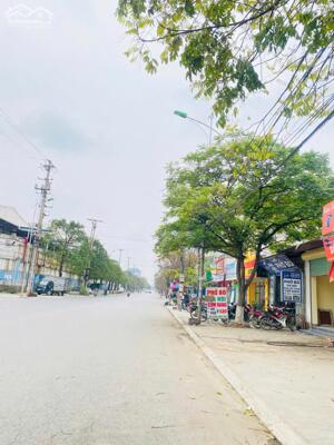 Bán căn nhà đẹp tại mặt phố Tôn Đức Thắng, Khai Quang, Vĩnh yên, Vĩnh Phúc. Giá 12 tỷ