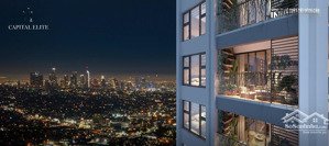 chính chủ bán ch 3pn 114m view hồ skylake giá chỉ 11 tỷ tại capital elite phạm hùng lh 