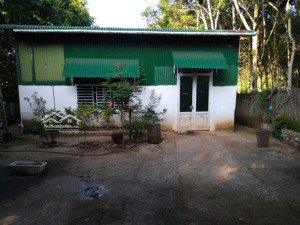 chính chủ cho thuê vườn tại đạ hoai, lâm đồng giá chỉ 5tr/tháng