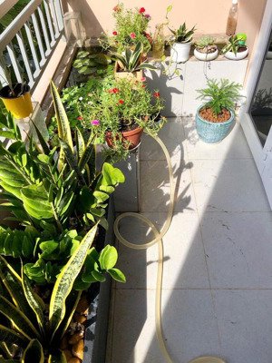 hẻm nhựa xe hơi quay đầu, đường lê văn sỹ, giá 25 tỷ