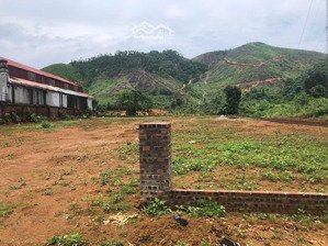 cơ hội vàng sở hữu lô đất mặt bãi dài yên xuân, ngay cổng đại học quốc gia hà nội