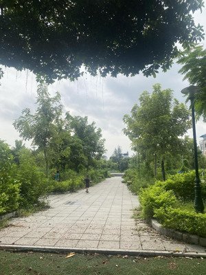 bán gấp đất đấu giá kiến hưng hà đông 65m2 - mặt tiền 5m - view công viên - giá rẻ - ở sướng