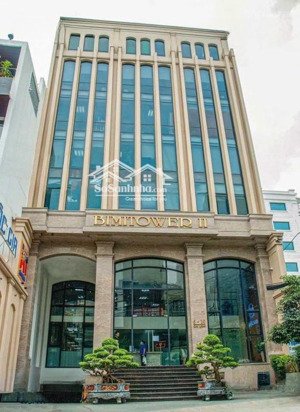 có sẵn hđtdòng tiền thuê 300tr/th. bán tòa nhà quang trung, p11,gò vấp. 11.3mx23m(259m2)-h+6 t 50tỷ