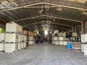 BÁN XƯỞNG AN ĐIỀN BẾN CÁT- TP HCM.