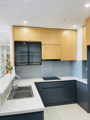 khẳng định rẻ nhất khu vực !!! tôi cần bán nahnh căn 3 ngủ full đồ , sđcc tại cc usilk city