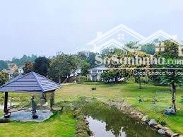 chủ nhà cần tiền bán gấp mảnh đất 224m2 (có 2 banggalow) giá chỉ nhỉnh 3 tỷ