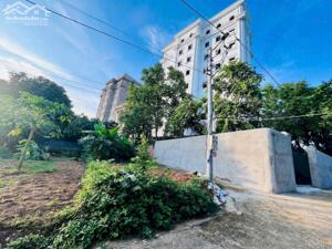 Gia đình e định cư nước ngoài cần sang cọc gấp đất Tân Xã Hòa Lạc view hồ 108m giá 3tỷ1 xem là chốt