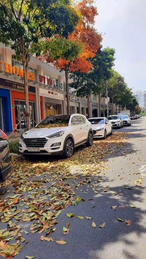 bán shophouse sarina mặt tiền đường b2 giá 52 tỷ all in