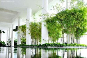 bán cc view sông, lầu cao tại the vista an phú, q2, hcm, 139m2, 3pn, 3wc, giá 13,1 tỷ