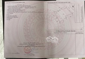 bán đất trồng lúa có thể lên thổ cư, đường xe tải, giáp sông lớn, thuận tiện cho việc làm nhà vườn