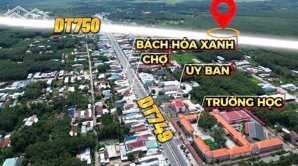 Sở hữu ngay đất mặt tiền ĐT750 Bình Dương