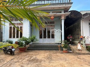 nhà cấp 4 đẹp, 3pn mặt tiền đường nhựa 8m, tân an, bmt