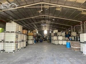 Bán Nhà Xưởng 15.000m² tại An Điền, Bến Cát – Bình Dương, Pháp Lý Hoàn Chỉnh