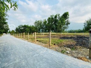 đất full thổ cư ninh tân ninh hoà 299tr
-diện tích 104.5m2 full đất ở đường betong 5m