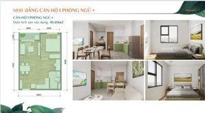 k-home new city vị trí vàng tp mới bình dương, tiện ích đủ đầy, đầu tư sinh lời bền vững.
