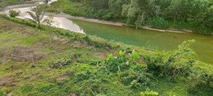 đất trồng cây hằng năm view sông, đường rộng 7m, 1200m2.