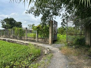 bán 2 lô đất liền kề xã bình chánh, tp.hcm diện tích 921m², giá 6.5 tỷ