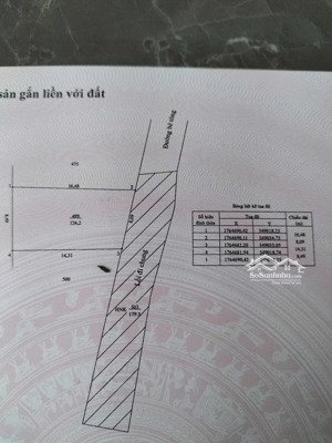 bán đất hòa phước, hòa vang, đà nẵng, 126.2m², đường bê tông 5m, giá chỉ 1.65 tỷ