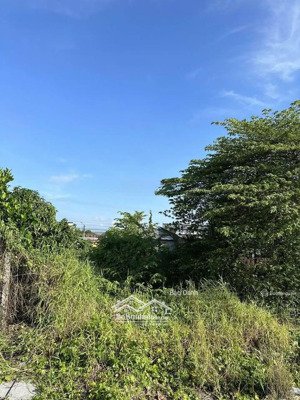 cần bán nhanh đất gần công viên sa đéc, đồng tháp tại đ. tôn đức thắng, 120m2/550tr, shr, full thổ