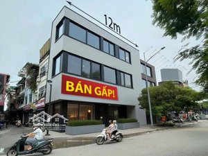 ngỡ ngàng & choáng ngợp! mặt phố đống đa, siêu phẩm mặt tiền 12m, lô góc, kd vô đối, đang giảm giá!