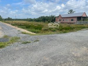 đất nền giá rẻ cho ace công nhân gần kcn long giang (tân phước, tiền giang)!!!