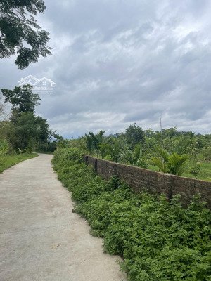 bán đất tại thị trấn chũ, lục ngạn, bắc giang, 800 triệu, 500 m2