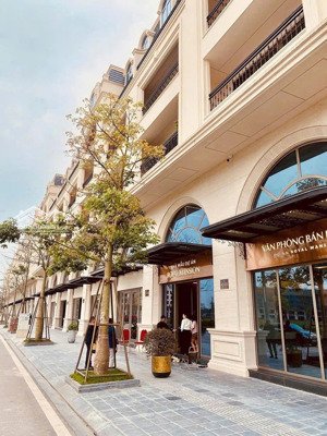 royal mansion dinh thự shophouse thương mại, mua trực tiếp từ chủ đầu tư, với giá f0, 2 mặt tiền