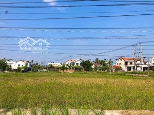hàng hiếm hội an - đất chính chủ view lúa, lh 