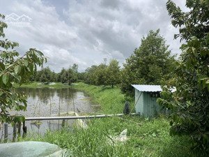 bán nhà xưởng mặt tiền ql 61c kết hợp vườn cây ăn trái nghỉ dưỡng, có thể làm du lịch sinh thái