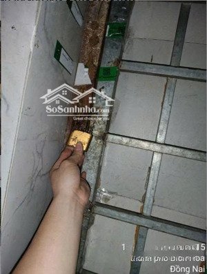 cho thuê nhà nguyên căn mt bùi văn hòa