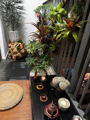 1 pn 50m2 view sông, không gian sống chill