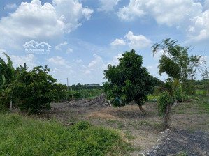 đất vườn đường xe hơi sau lưng trường học cấp 3 đa phước. 367m2 ngang 12m mà giá chỉ có 1tỷ950