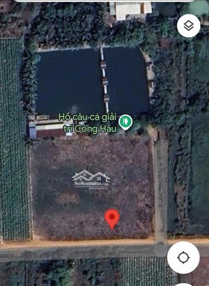 bán đất đẹp tại xã thái bình, 8 tỷ, 1200 m2, pháp lý đầy đủ