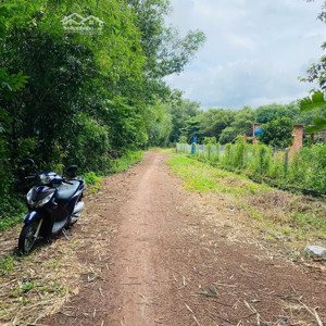 cần bán lô đất sát bên kcn cây trường, 2.717m2 xe oto vào tận nơi, đường thông tứ tung