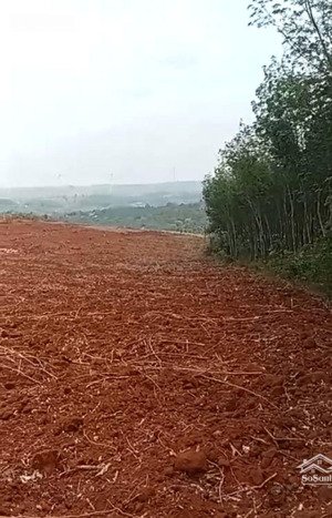 cho thuê 500ha bù đăng, bình phước 6tr/ha/1 năm. thời gian 30 năm. trả thành 3 đợt. 10 năm 1 lần